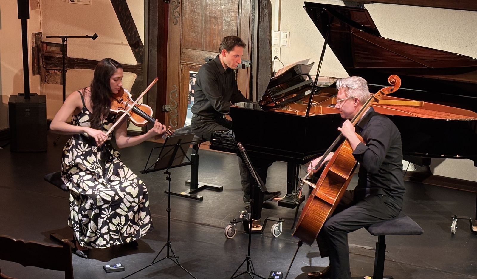 Trio im Konzert in einem holzvertäfelten Saal